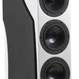 RBH Sound UNRIVALED 6500/PX Freestanding Tower speaker