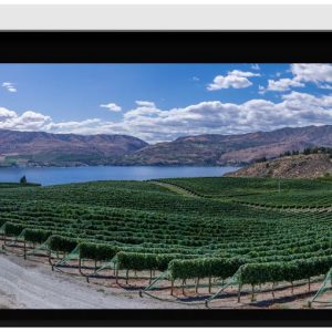 Stewart Filmscreen Cima BC 16:10 (Presentation) Retractable Below Ceiling Projector - Dreamedia AV