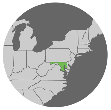 maryland